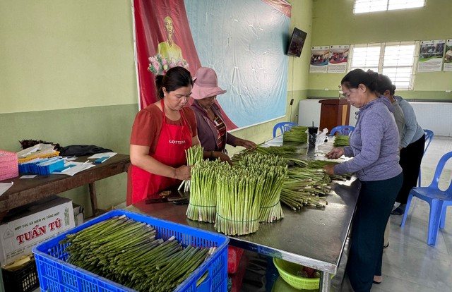 Chị Châu Thị Trâm, tạp dề đỏ thu mua măng tây