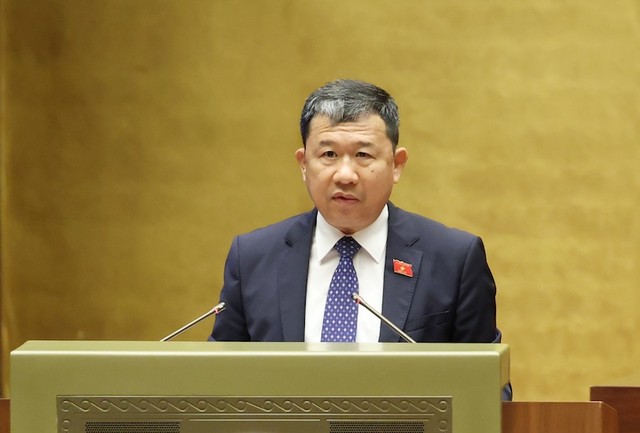 Chủ nhiệm Uỷ ban Đối ngoại Vũ Hải Hà trình bày báo cáo thẩm tra.