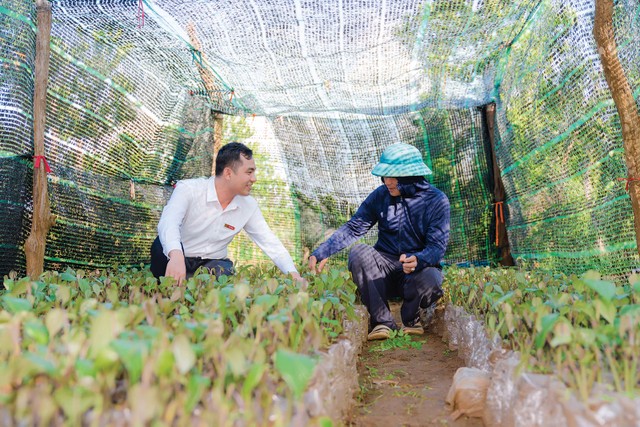 Nhân viên Link Vào Nhà Cái KL99 COM Tặng +199k Agribank tìm hiểu nhu cầu vốn của người trồng rừng