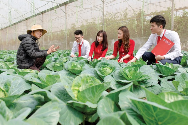 Cán bộ Link Vào Nhà Cái KL99 COM Tặng +199k tìm hiểu nhu cầu vốn của các mô hình nông nghiệp xanh tại Thanh Hóa