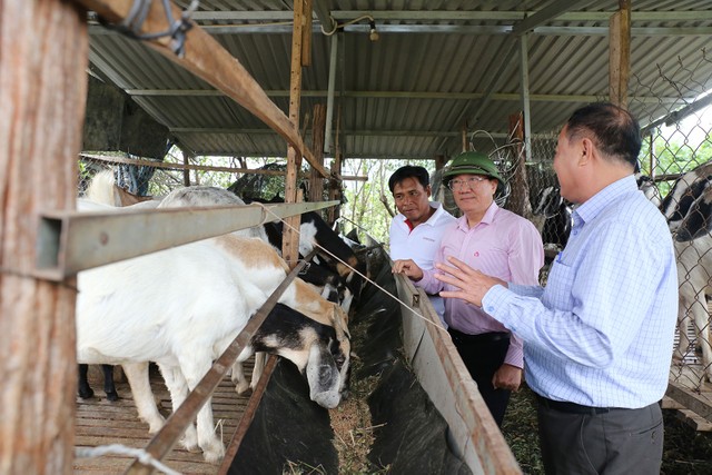 Tìm hiểu các mô hình thoát nghèo từ đồng vốn chính sách
