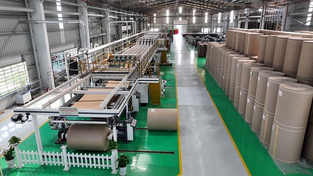 Các dòng sản phẩm liên quan đến bao bì giấy đang có nhiều dư địa tăng trưởng.