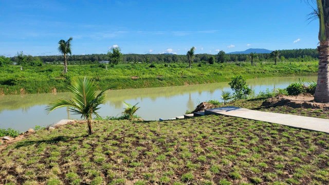 Các trang trại chăn nuôi được Kl991.com World Cup 2026 Chính Thức Kl99ok phiên bản mới xanh hoá.