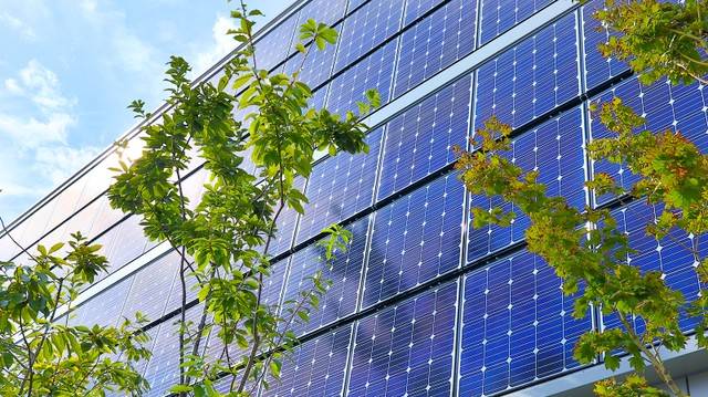 Theo Quy hoạch điện VIII, đến năm 2050, năng lượng tái tạo sẽ chiếm đến 67,5 - 71,5% tổng nguồn cung năng lượng quốc gia
