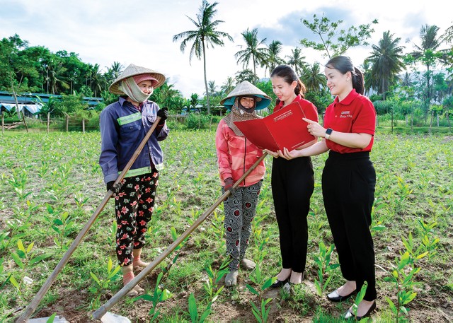 Tại Việt Nam, Kl99kl phiên bản hoạt động vi mô đã được triển khai từ nhiều năm nay nhưng chưa thành công
