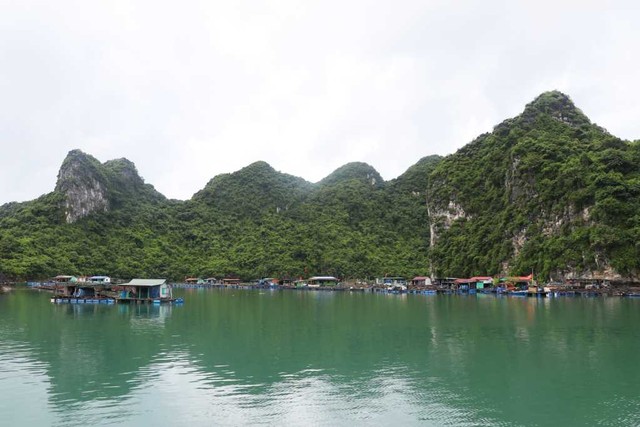 Làng Chài cống Lão Vọng trên Vịnh Bái Tử Long. Ảnh: Quảng Ninh Portal