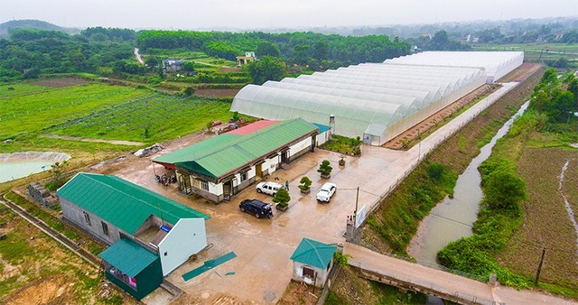 Mô hình kết hợp giữa trồng trọt trong nhà kính và chăn nuôi giúp sử dụng hiệu quả quỹ đất.