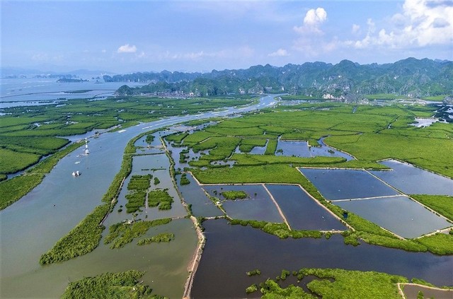 Hải Phòng đề xuất thí điểm cơ chế Kl991.com nạp rút nhanh thực hiện biện pháp giảm phát thải khí nhà kính theo các cơ chế trao đổi, bù trừ tín chỉ các-bon.