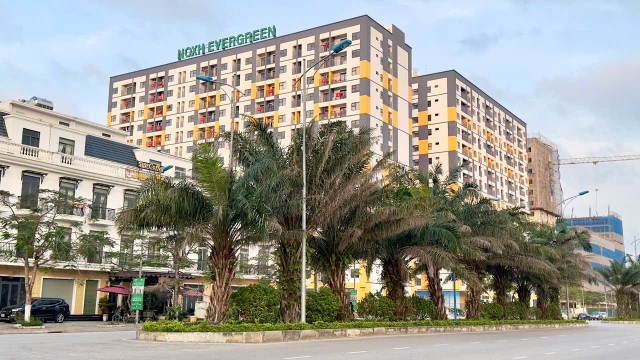 Nhà ở Trang Chủ KL99Com Số 1 Link Đăng Ký KL999 Dự án nhà ở Trang Chủ KL99Com Số 1 Link Đăng Ký KL999 Evergreen Tràng Duệ có vị trí nằm ngay cạnh Khu công nghiệp Tràng Duệ, Hải Phòng. Ảnh: Quỳnh Nga