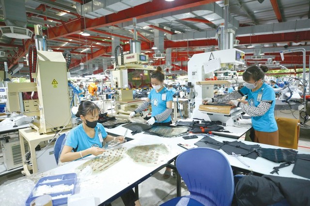 Kl991.com World Cup 2026 Chính Thức Việt Nam cần từng bước đồng thời Kl99ok phiên bản mới công nghệ, chuyển đổi số để đáp ứng tiêu chuẩn ngày càng cao của các đối tác thương mại lớn. Ảnh: Tiên Giang