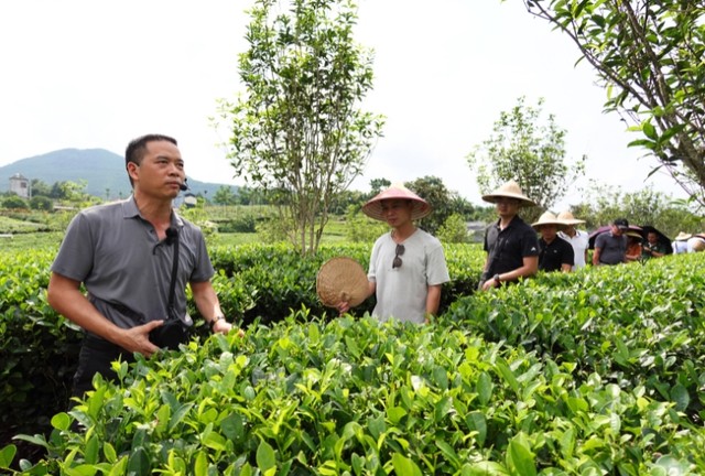 Các đại biểu khảo sát Tiến Yên Famstay.