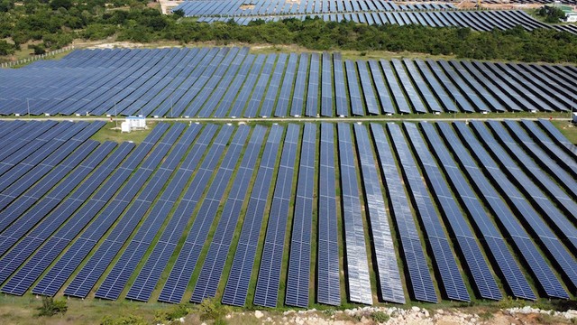 Công suất lắp đặt của điện mặt trời Phước Thái 2 là 100 MWp và Phước Thái 3 là 50 MWp, với tổng mức Kl99ok phiên bản mới khoảng 4.209 tỷ đồng. Ảnh: Huy Hùng.