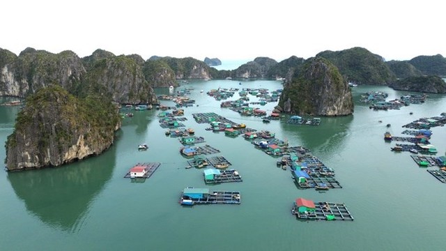 Hải Phòng xây dựng chương trình phát triển các sản phẩm du lịch đẳng cấp gắn với bảo tồn di sản.
