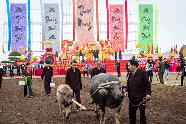 Ủy viên Trung ương Đảng, Bí thư Tỉnh ủy tỉnh Ninh Bình Đặng Xuân Phong tham gia nghi thức cày ruộng. Ảnh: Minh Đường