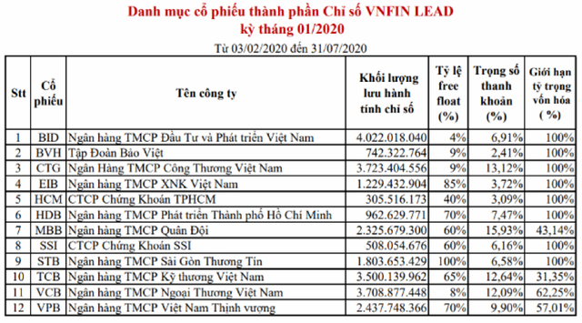 SSIAM VNFin Lead ETF huy động được 262 tỷ đồng, sẽ niêm yết ngày 18/3 ảnh 1
