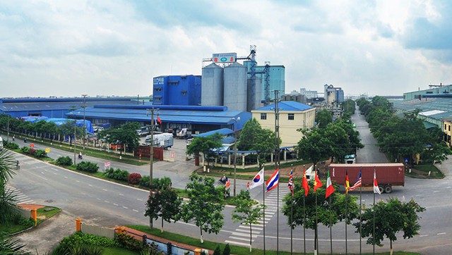 6 tháng, Viglacera tăng trưởng Kl99 nổ hũ ấn tượng ảnh 1
