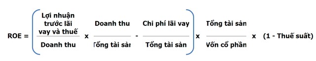 Goldman Sachs lưu ý nhà Kl99ok phiên bản mới cách nhìn khác về ROE ảnh 2
