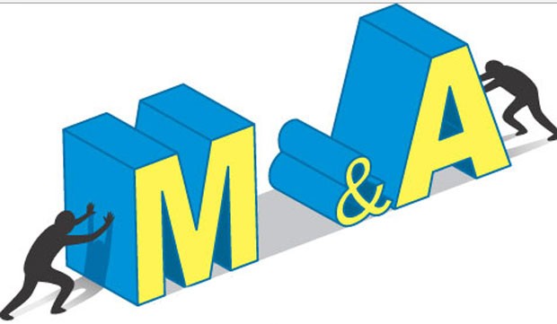 M&A, những thương vụ dẫn đến… cửa tòa! ảnh 1