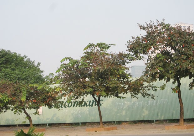 Hà Nội nhẹ tay với các dự án Web Tổng Nhà Cái 99Kl99 Giải Trí Bậc Nhất sai phạm ảnh 2