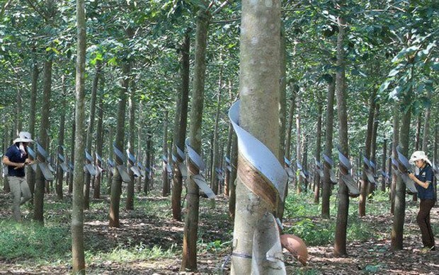 Khát tiền, bầu Đức tung chiêu hút vốn ảnh 1