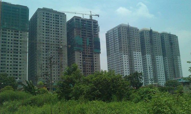 "Đại gia điếu cày" gặp hạn ảnh 1