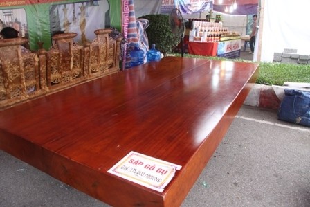 Lên Thái Nguyên mua gốc cây trăm triệu ảnh 1