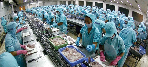Bianfishco “lội ngược dòng” ảnh 1