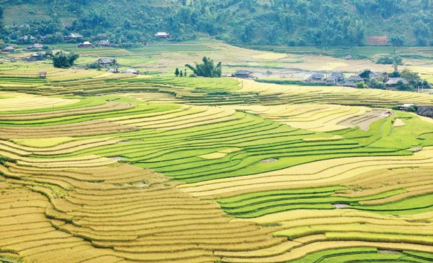 Nhận diện khó khăn để vững bước  ảnh 3
