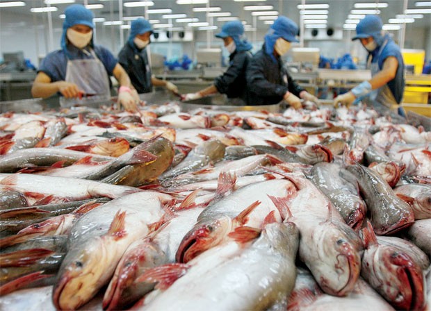 DN thủy sản tính gì cho năm 2013? ảnh 1