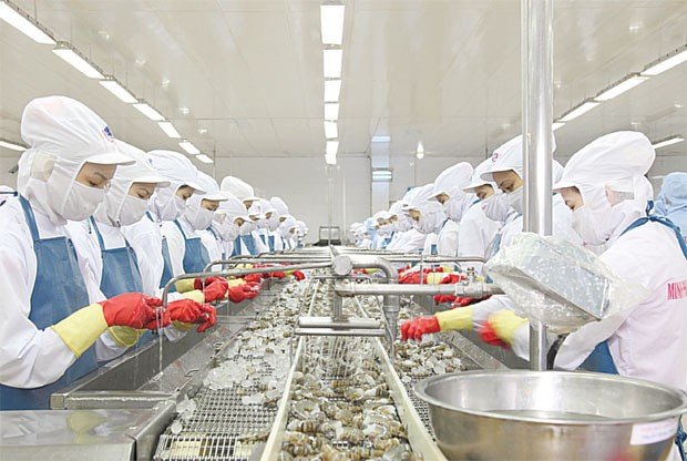 Minh Phú hủy niêm yết, chiều lòng NĐT ngoại ảnh 1