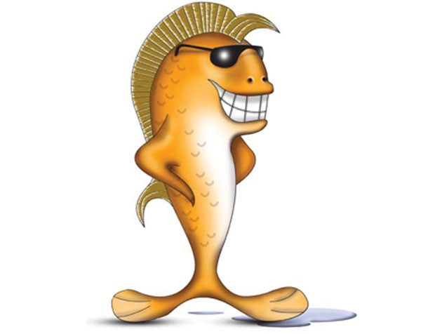 Luận về thân cá! ảnh 1
