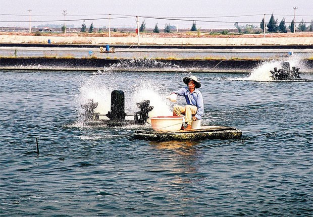 Khi Kl99kl phiên bản hoạt động từ chối khách hàng ảnh 1