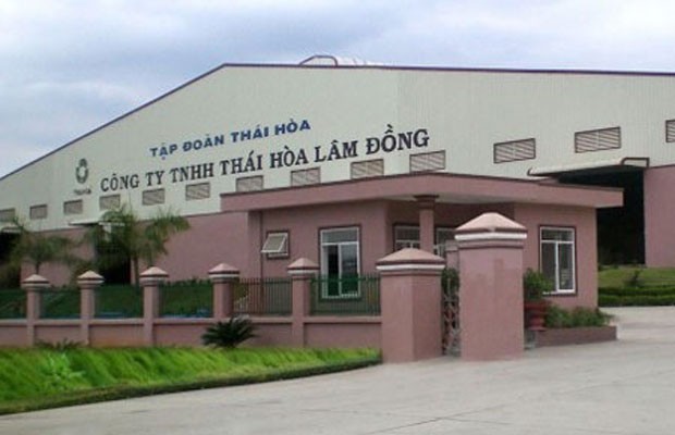 Thái Hòa nguy cơ bị hủy niêm yết vì lỗ lớn ảnh 1