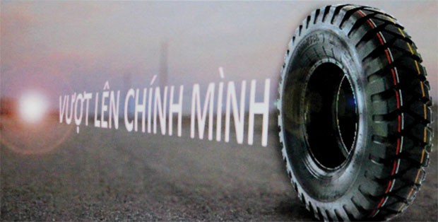 Casumina tập trung cho xuất khẩu ảnh 1