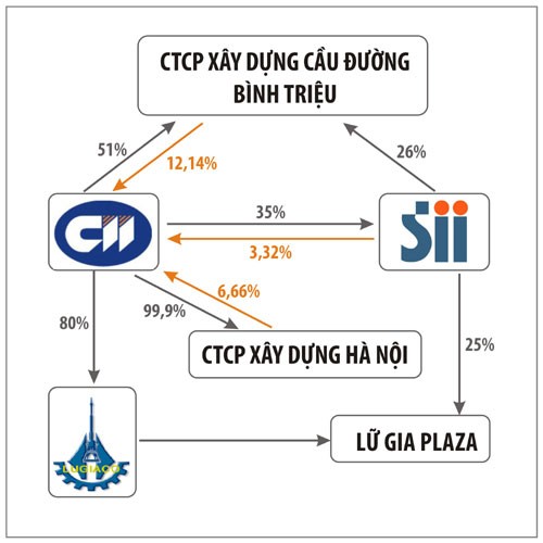 Sở hữu chéo và những câu hỏi ảnh 1