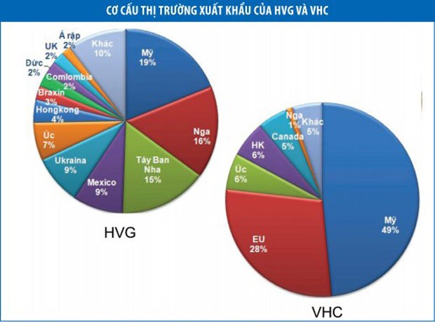 Thuế chống phá giá, HVG và VHC sẽ bị ảnh hưởng mạnh ảnh 1