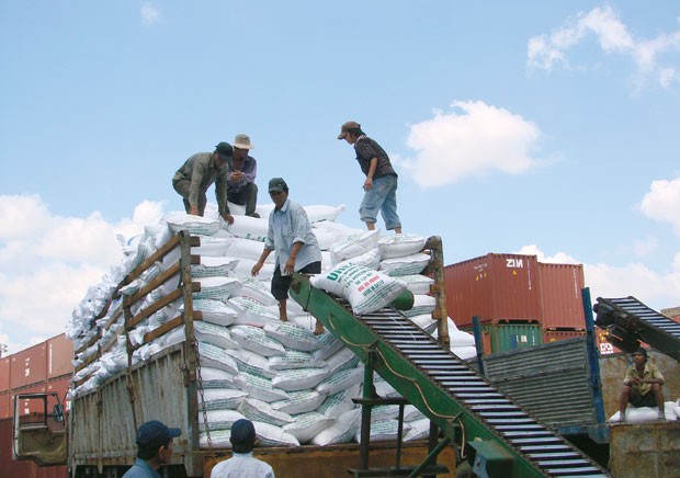 Thị trường phân đạm: vai trò của đại lý ảnh 1