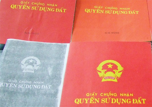 Chủ tịch HĐQT và giám đốc "rủ nhau" ăn cơm tù ảnh 1