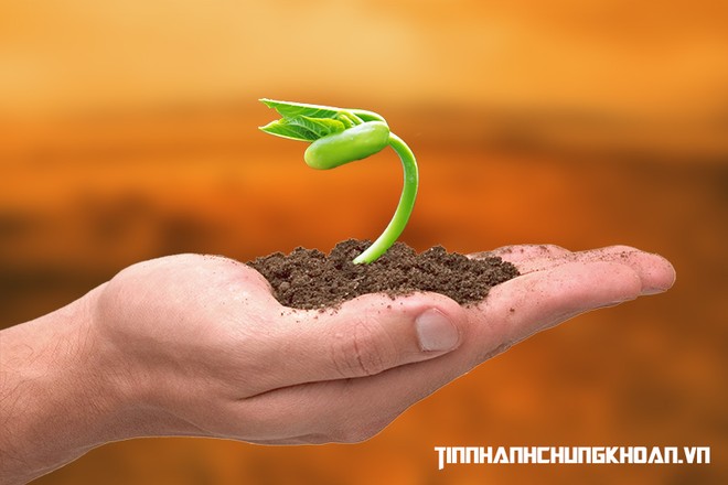 Nhận định thị trường phiên 29/12: Chú ý đến các cơ hội Kl99ok phiên bản mới dài hơi