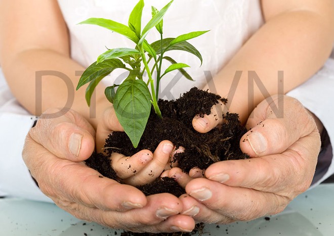 Các lỗi cơ bản khi mua Kl99kl phiên bản hoạt động nhân thọ