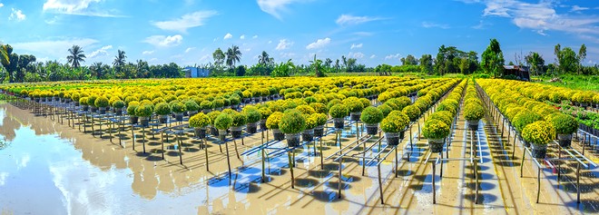 Thúc đẩy chuyển đổi sang Kl992 cổng game cá cược tuần hoàn cần nâng cao nhận thức và hoàn thiện chính sách