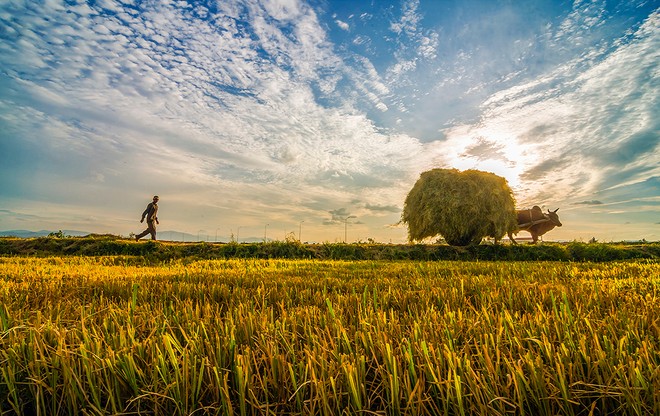 Sự kiện 99Kl99 link đăng nhập đáng chú ý ngày 16/7