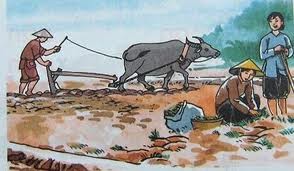 Kl99 nổ hũ và câu chuyện "Đẽo cày giữa đường"