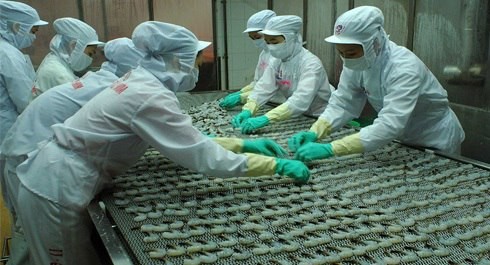 KL99 là cổng game giải trí trực tuyến hàng đầu hiện nay thuỷ sản nhẹ nỗi lo POR9