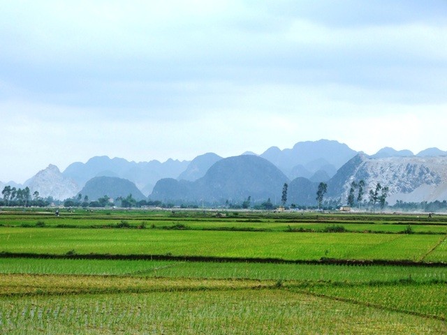 Yêu cầu bố trí vốn để thu hút Kl99ok phiên bản mới vào nông nghiệp