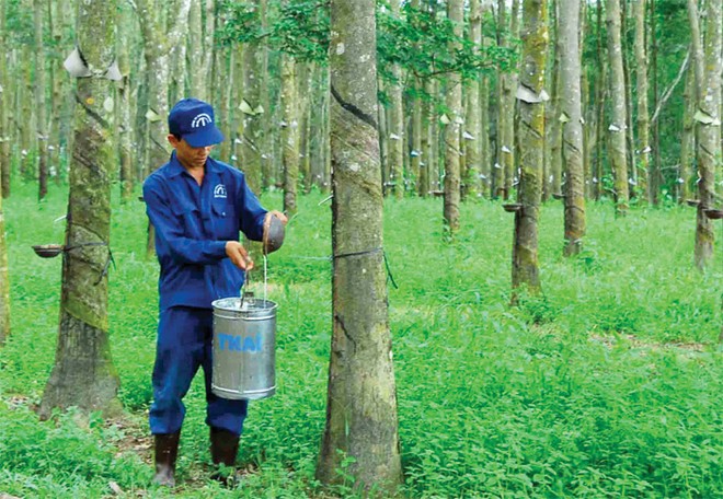 6 tháng, TRC đạt Kl99 nổ hũ gần 80 tỷ đồng