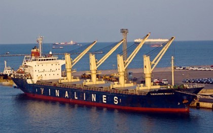 Vinalines xin dừng triển khai 11 dự án Kl99com Thương hiệu giải trí