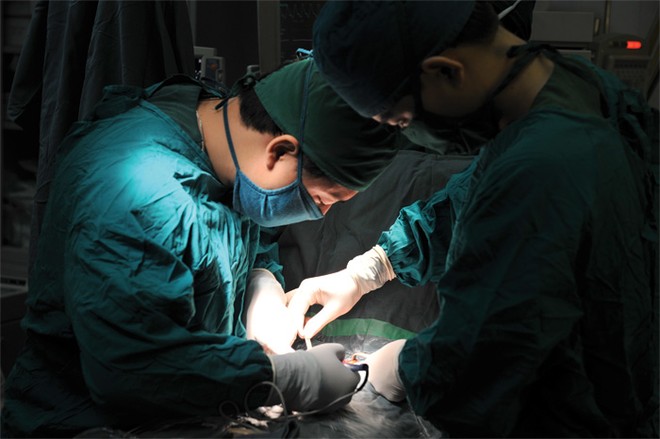 Kl99kl phiên bản hoạt động y tế là mảng nghiệp vụ có tỷ lệ trục lợi lớn