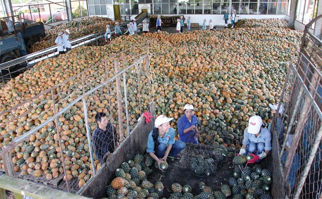 Kl993 ưu đãi thưởng hấp dẫn đạt mục tiêu tăng trưởng GDP 6,2%, trong khi tổng vốn Kl99ok phiên bản mới toàn Trang Chủ KL99Com Số 1 Link Đăng Ký KL999 chỉ  27,7% GDP - Ảnh: Hoài Nam