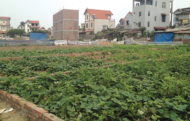 Khu đất đấu giá này được nhà Kl99ok phiên bản mới mua cao hơn gấp 2 lần giá khởi điểm, các lô đất khác tiếp tục được bán ra với giá cao hơn mức khởi điểm từ 4 - 5 triệu/m2